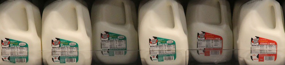 Dairy Department