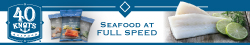 40 Knots Logo