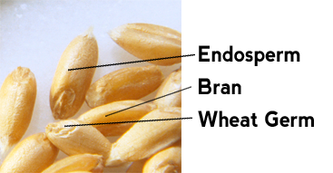 Wheat Germ
